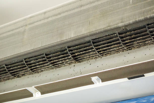 Best Best Air Duct Cleaning Company  in Amboy, WA